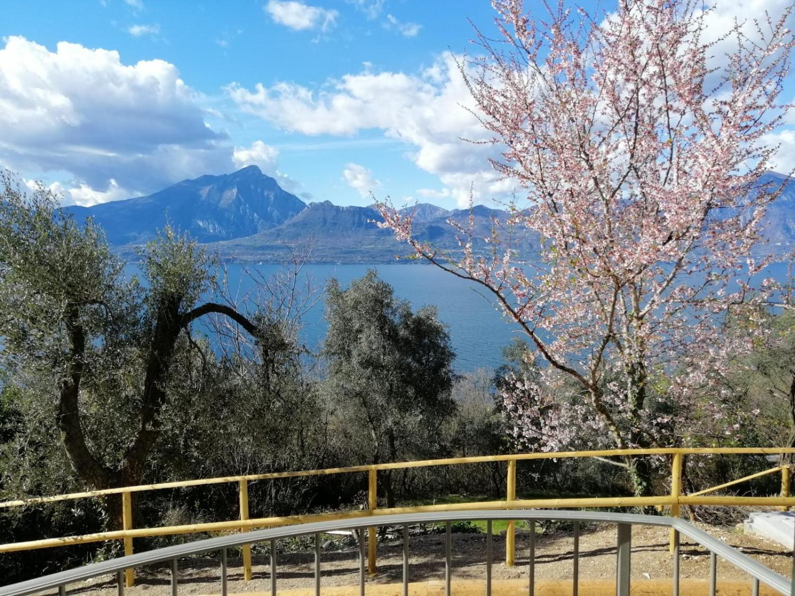 Alojamento de Turismo Rural Le Anze *