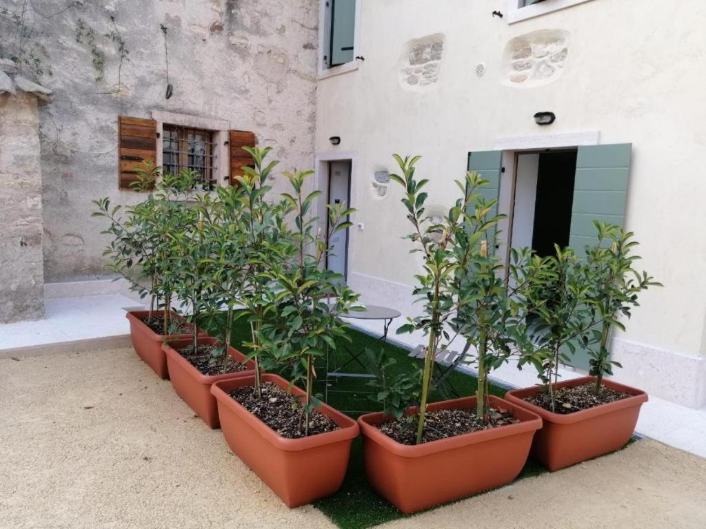 Le Anze Torri Del Benaco